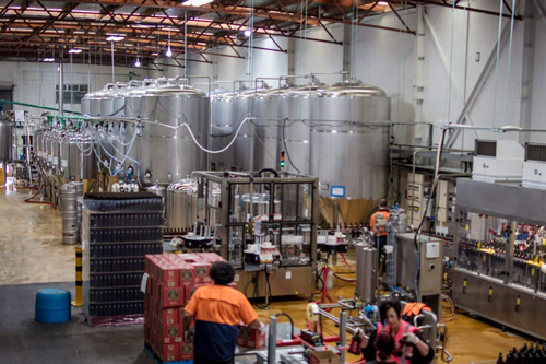 Craft beer production at Cassels Brewing in Christchurch