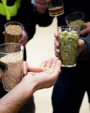 Hops and Barley at Cassels craft beer brewery